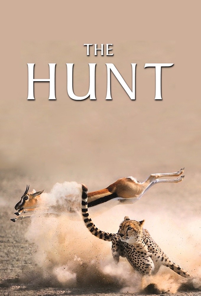 دانلود سریال The Hunt دانلود سریال The Hunt